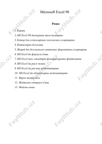 microsoft excel 98 (2) — DOC
