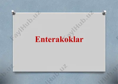 enterokokklar — PPTX