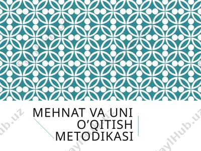 mehnat va uni o’qitish metodikasi — PPTX