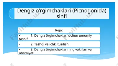 dengiz õrgimchaklari uchun umumiy tasnif — PPTX
