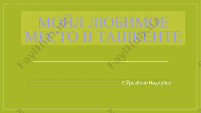 mo'yl lyubimoe mesto v tashkente — PPTX