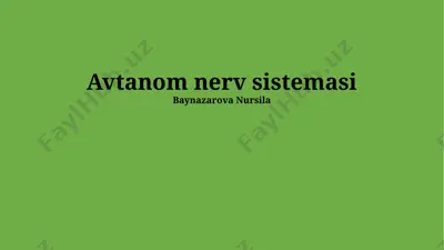 avtonom nerv sistemasi — PPTX