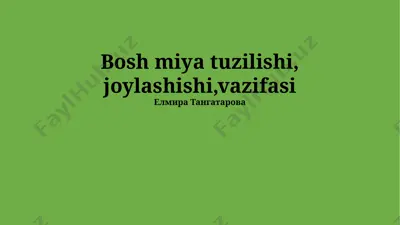 miyaning anatomiyasi — PPTX