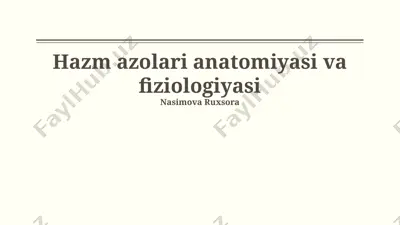hazm azolari anatomiyasi va fiziologiyasi — PPTX