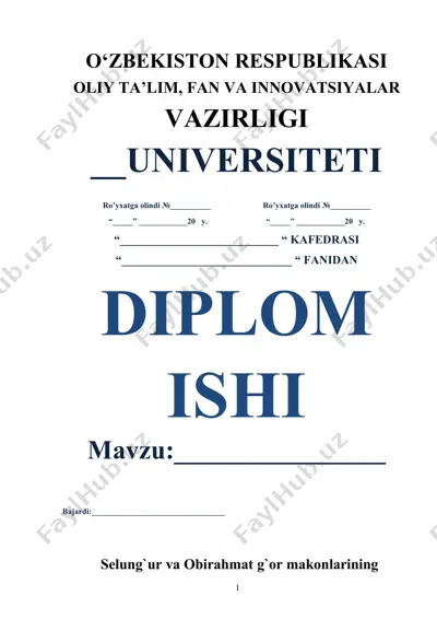 selung`ur va obirahmat g`or makonlarining tarixiy tadqiqoti — DOCX