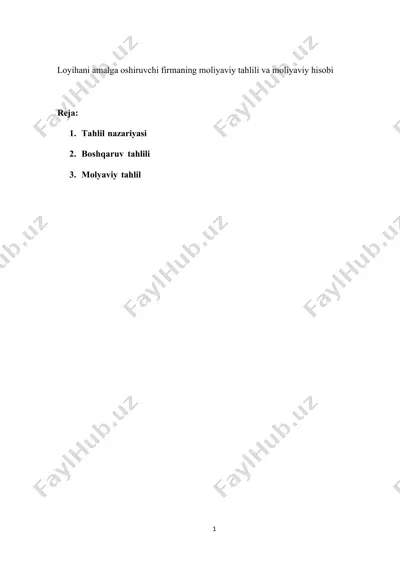 loyihani amalga oshiruvchi firmaning moliyaviy tahlili va moliyaviy hisobi — DOCX