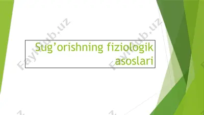 matristsalar halqasi bo‘yicha kurs ishi — PPTX