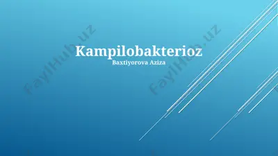kampilobakterioz — PPTX
