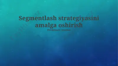 segmentlash strategiyasini amalga oshirish — PPTX