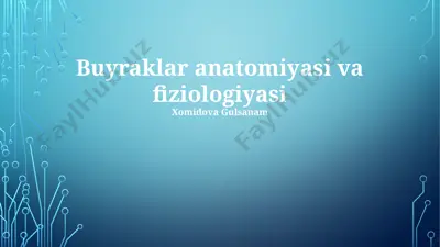 buyraklar anatomiyasi va fiziologiyasi — PPTX