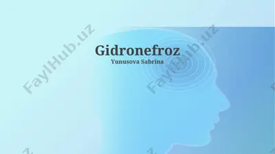 gidronefroz — PPTX