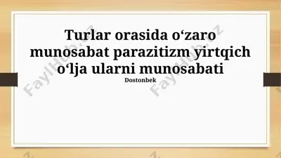 yirtqichlik munosabatlari va oʻlja-yirtqich munosabatlari — PPTX