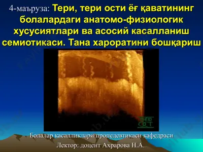 тери, тери ости ёғ қаватининг болалардаги анатомо-физиологик хусусиятлари ва асосий касалланиш семиотикаси. тана хароратини бошқариш — PPT