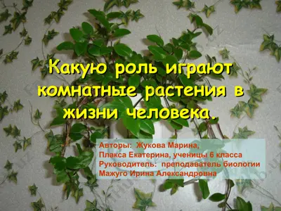 komnatniy o'ta ta'mirlar hayotda odamning qaysi rol o'ynaydi — PPT