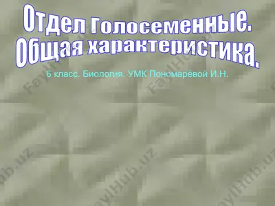 biologiya. golosemennye rasteniya — PPT