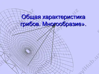 общая характеристика грибов. многообразие — PPT