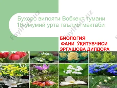 gul – o’simliklarning generativ ko'payish organi — PPT
