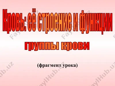 krov': yëyo stroenije i funktsii — PPT