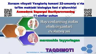hayvonlarning nafas olish organlari evolutsiyasi — PPT