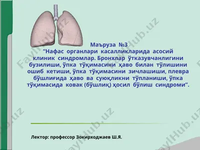 нафас органлари касалликларида асосий клиник синдромлар — PPT