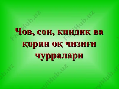 чов, сон, киндик ва қорин оқ чизиғи чурралари — PPT