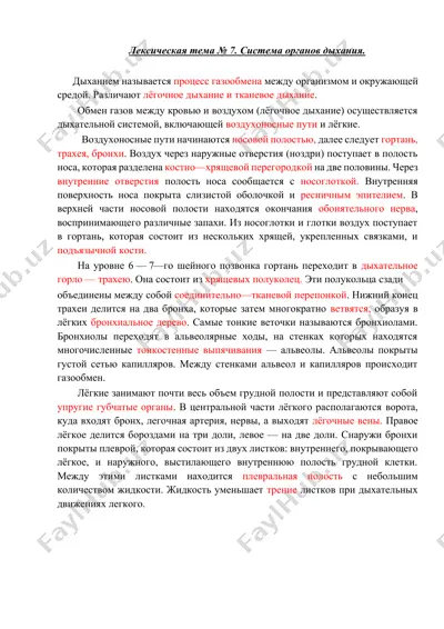 дыхание и его система в организме человека — DOCX