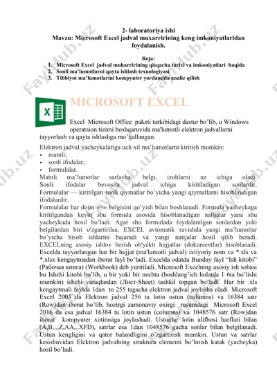 microsoft excel — DOCX
