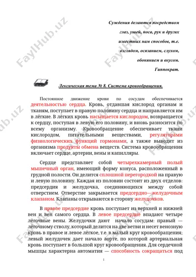 система кровообращения — DOCX