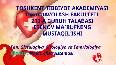 nafas olish sistemasi — PPTX