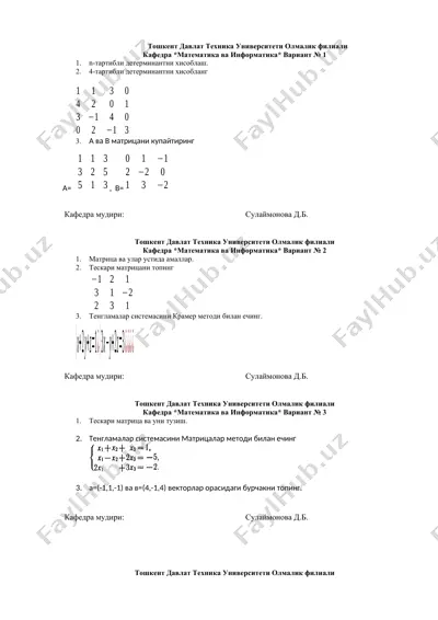 matematika va informarika fanidan misollar — DOCX