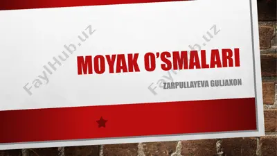 moyak o’smalari — PPTX