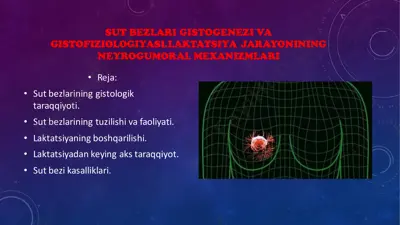 sut bezlari gistoqenezi va gistofiziologiyasi. laktatsiya jarayonining neyrogumoral mexanizmlari — PDF