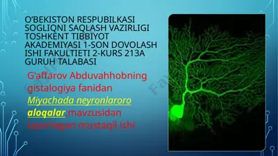 miyacha (cerebellum) — PPTX
