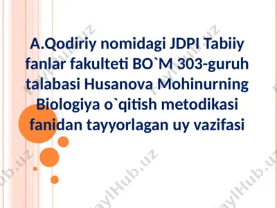 o'quvchilarning mustaqil ishini tashkil etish metodikasi — PPTX
