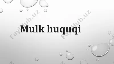 mulk huquqi — PDF