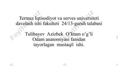 vena tizimi rivojlanishi — PPTX