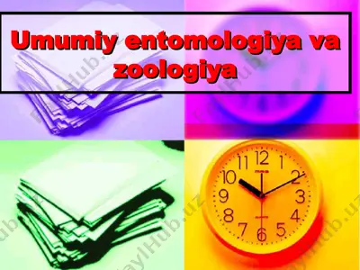umumiy entomologiya va zoologiya — PPT