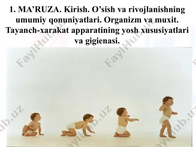 ma’ruza: o’sish va rivojlanishning umumiy qonuniyatlari hamda tayanch-xarakat apparatining yosh xususiyatlari va gigienasi — PPTX