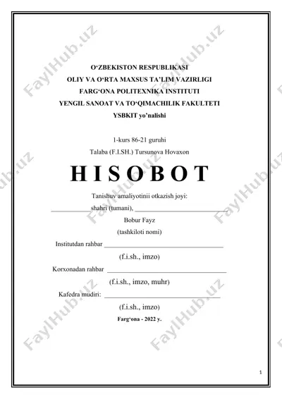 korxona faoliyati haqida ma'lumotlar — DOCX