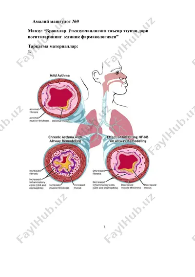 бронх ўtkazuvchanligiga ta'sir etuvchi dorilarining klinik farmakologiyasi — DOCX