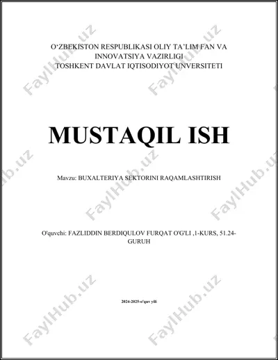 raqamli buxgalteriya dasturlari — DOCX