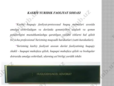 kasbiy-yuridik faoliyat sohasi — PPTX