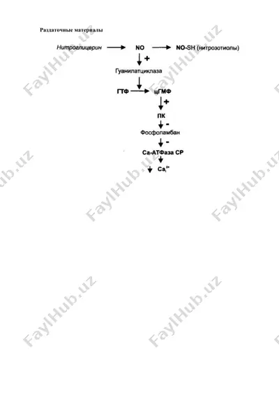 razdatchnye materialy — DOCX