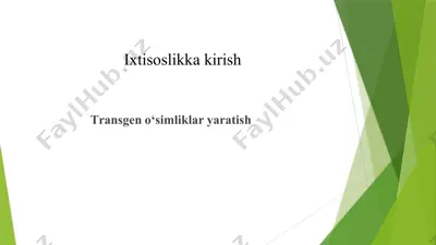 transgeno‘simlik yaratish — PPTX