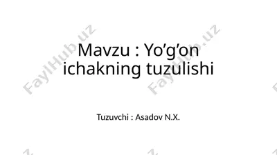 yo’g’on ichakning tuzulishi — PPTX