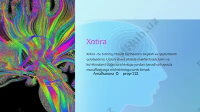 xotira — PPTX