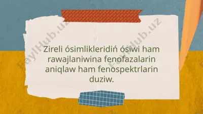 zireli ósimliklar fenomexanikasi — PPTX