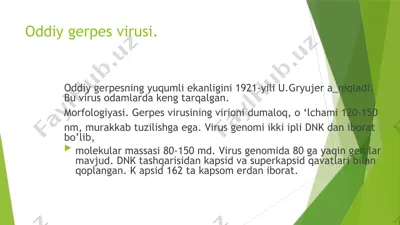 oddiy gerpes virusi — PPTX