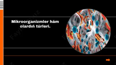 mikroorganizmler hámolardıńtúrleri — PPTX