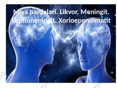 miyapardalari. likvor. meningit. leptomeningit. xorioependimatit — PPTX